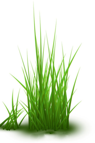 Reborn as a Weed