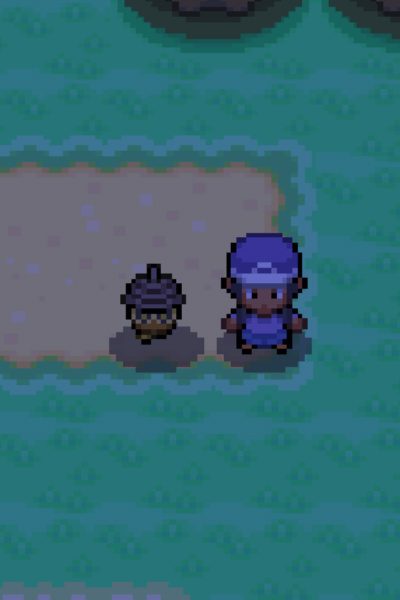 Team Rocket's Heir
