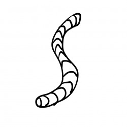 Worming My Way To The Top