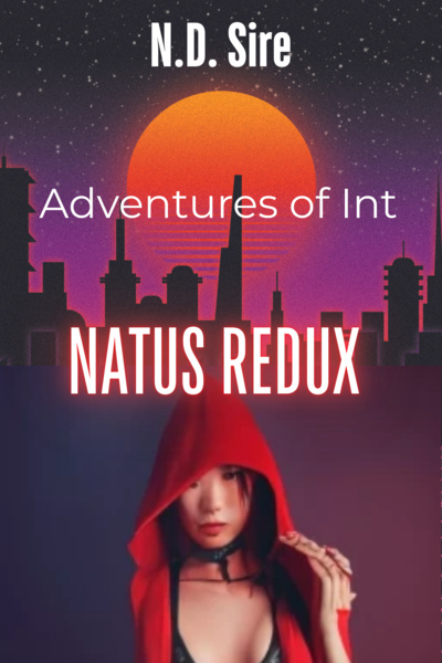 Adventures of Int