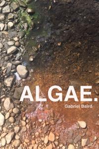 ALGAE