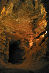 The Mirror Chamber