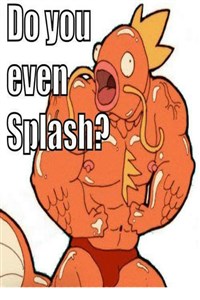 A Ditto's Tale