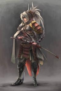 Way of a samurai ( book 1) vengeance