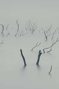 Vemödalen: From The Other Side