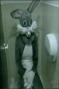 Bathroom bob joe
