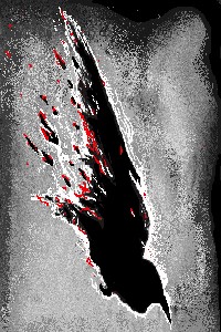 Regalia of the Fallen Sky:  Raven’s Visage