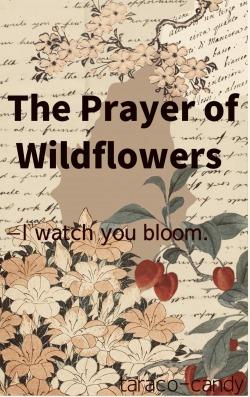 The Prayer of Wildflowers