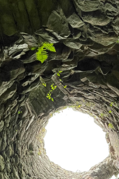 A Forgotten Place