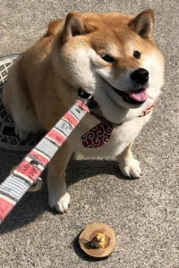 Spice and Woof