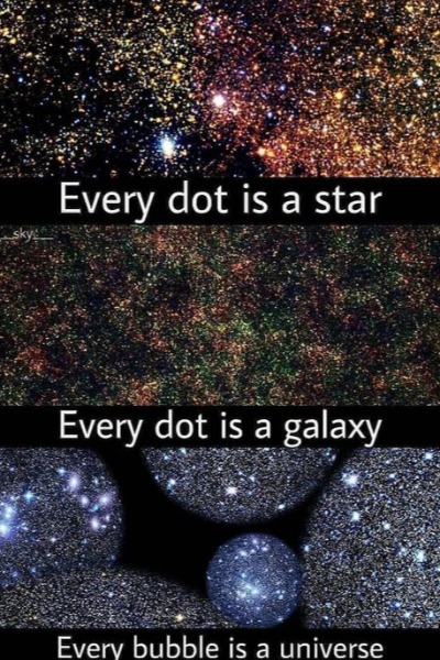 El Coleccionista (Español / Spanish)