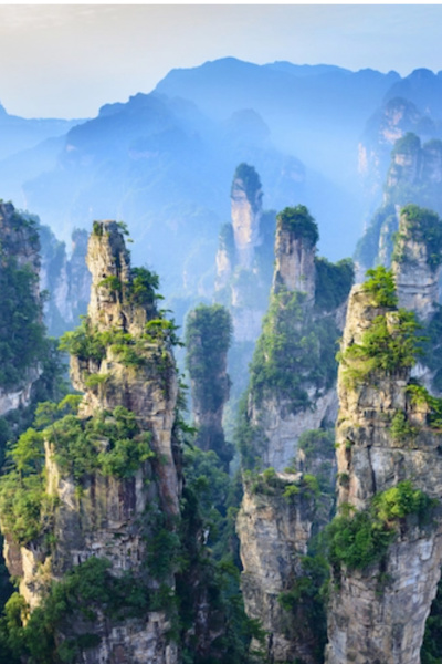 Professional Sect Building (Dropped)