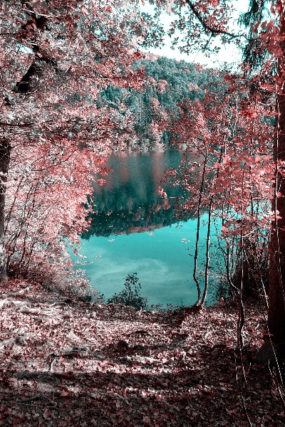 Small Pond