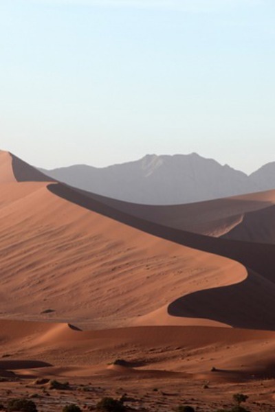 Borne of the sands