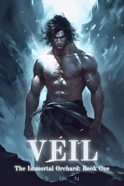 VEIL