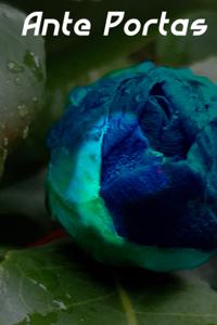 Ante Portas